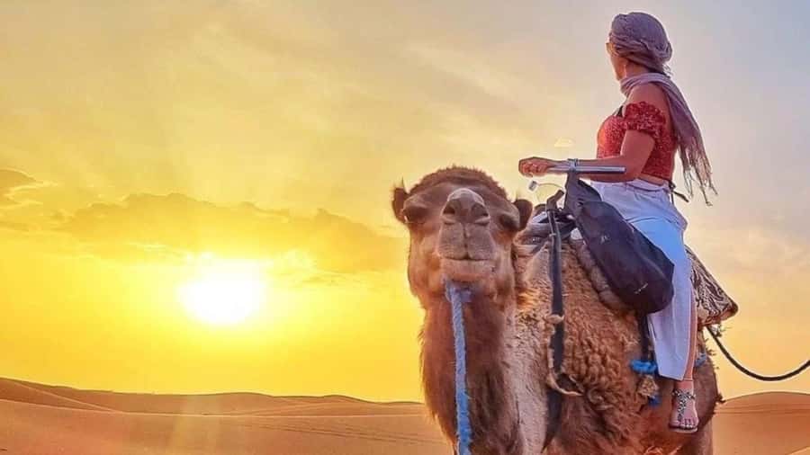Marrakech Agafay desert: Camel Ride, Sunset, Dinner show - Sunset photographs and the desert camp