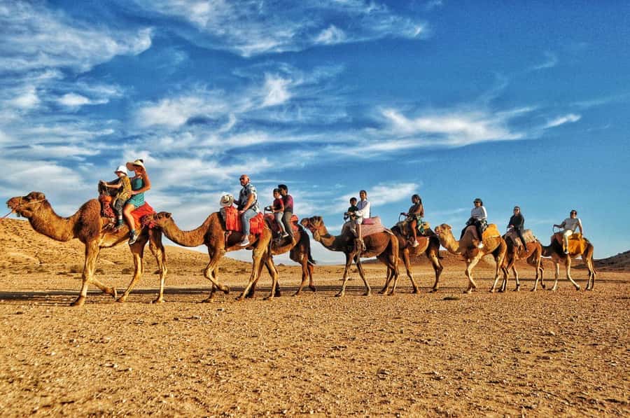 Marrakech Agafay desert: Camel Ride, Sunset, Dinner show - Dinner with couscous, tagine, and Moroccan flavors