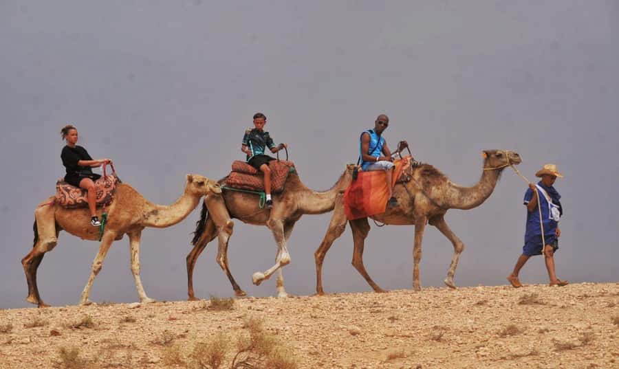 Marrakech Agafay desert: Camel Ride, Sunset, Dinner show - Berber music and traditional dancing