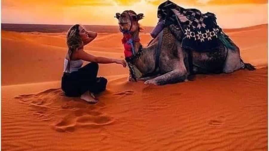 Marrakech Agafay desert: Camel Ride, Sunset, Dinner show - What the $10 price really buys you