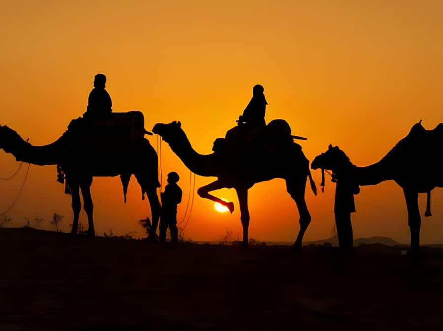 Marrakech: Agafay Desert Camel Ride with Dinner & Show - Music, traditional dancing, and the fire show