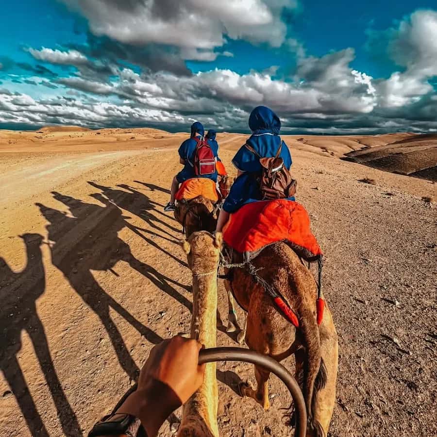 Marrakech: Agafay desert camel ride with dinner & spectacle - What Agafay really offers