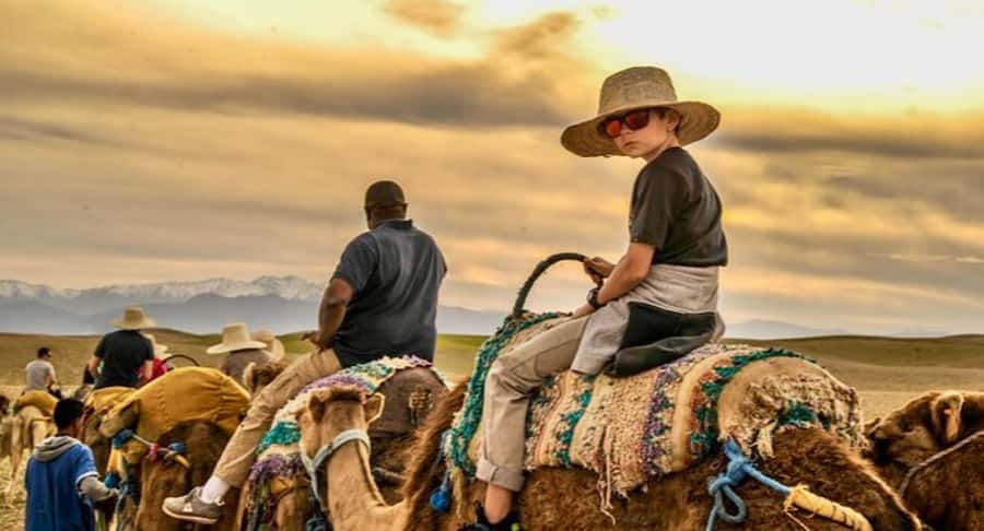 Marrakech: Agafay desert camel ride with dinner & spectacle - An argan oil stop with tea