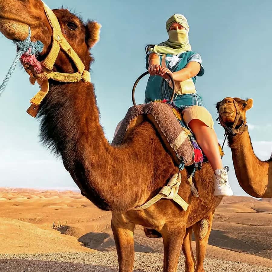 Marrakech: Agafay desert camel ride with dinner & spectacle - Mint tea and the desert camp