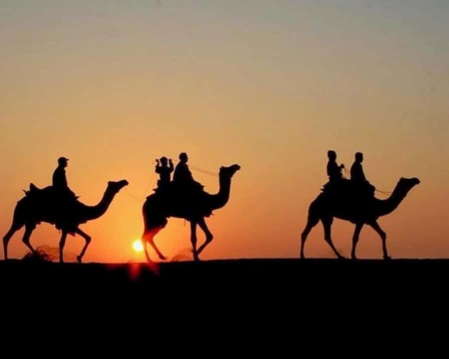 Marrakech: Agafay Desert Camel Rides, Dinner and Fire Show - Key points to know before booking