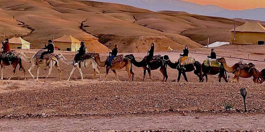 Marrakech: Agafay Desert Camel Rides, Dinner and Fire Show - Moroccan dinner under the stars