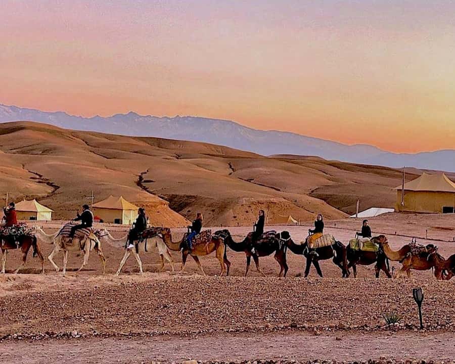 Marrakech: Agafay Desert Camel Rides, Dinner and Fire Show - Music, Berber dancing, and the fire show