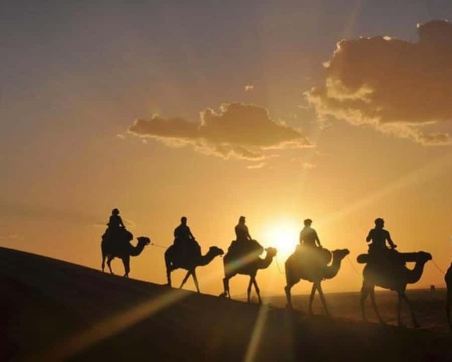 Marrakech: Agafay Desert Camel Rides, Dinner and Fire Show - Who will enjoy this Agafay evening most
