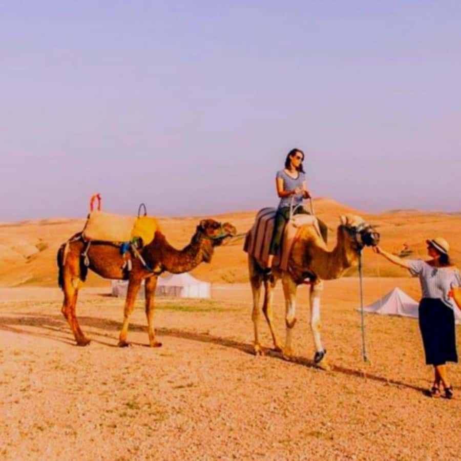 Marrakech: Agafay Desert Camp Lunch with Camel Ride and Pool - Who will enjoy this most