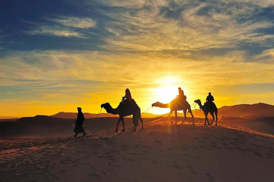 Marrakech: Agafay Desert Dinner and Sunset Camel Ride Trip - Why the sunset ride earns the highest praise
