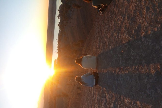 Marrakech: Agafay Desert Dinner, Camel Ride & Quad Biking. - Quad biking with a guide and a partner