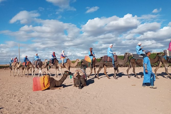 Marrakech: Agafay Desert Dinner, Camel Ride & Quad Biking. - The Agafay Desert is close, dramatic, and different from the Sahara