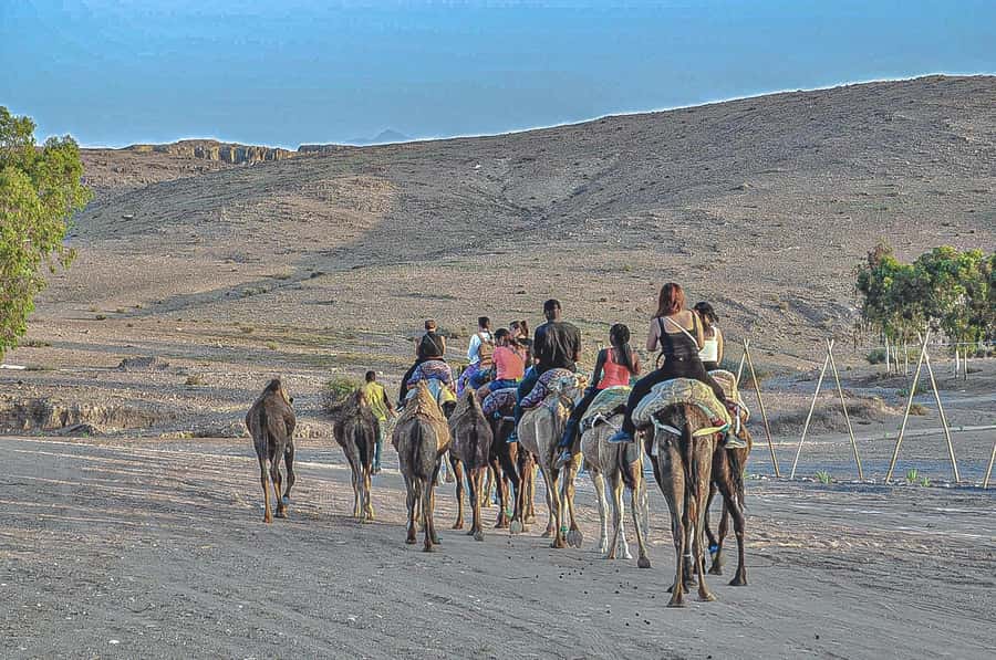 Marrakech: Agafay Desert Dinner, Camel Ride, & Show - Is $14 genuinely good value?