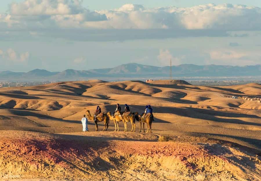 Marrakech: Agafay Desert Dinner Show with Quad Bike & Camel - The 45-minute quad ride brings the excitement