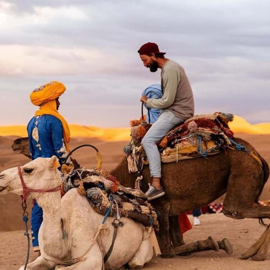 Marrakech: Agafay Desert Dinner Show with Sunset Camel Ride - The evening in five useful points