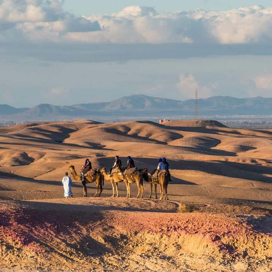 Marrakech: Agafay Desert Dinner Show with Sunset Camel Ride - Dinner under the stars