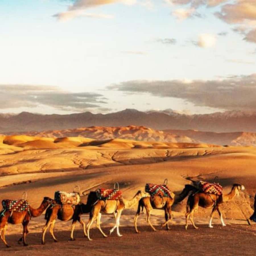 Marrakech: Agafay Desert Dinner with Music and Fire Show - Sunset over Agafay’s rocky desert
