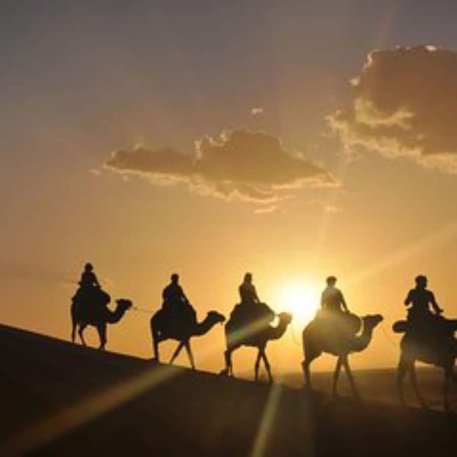 Marrakech: Agafay Desert Dinner with Music and Fire Show - Dinner on cushions under the stars