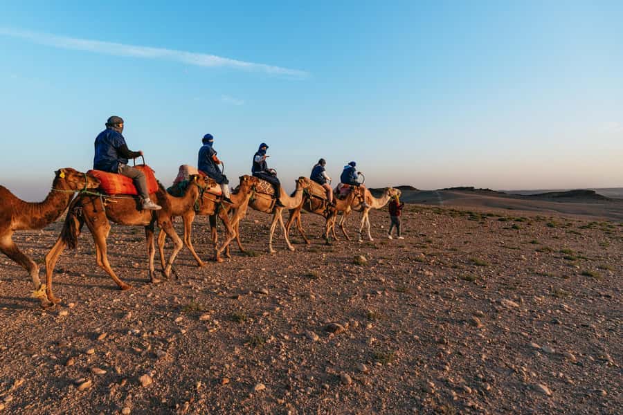 Marrakech: Agafay Desert Magical Overnight with Dinner Show - Breakfast and the return to Marrakech