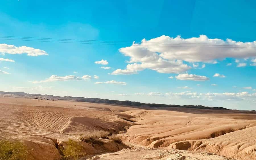 Marrakech: Agafay Desert Quad Bike Tour with Moroccan Tea - Group size, guides, and the overall feel