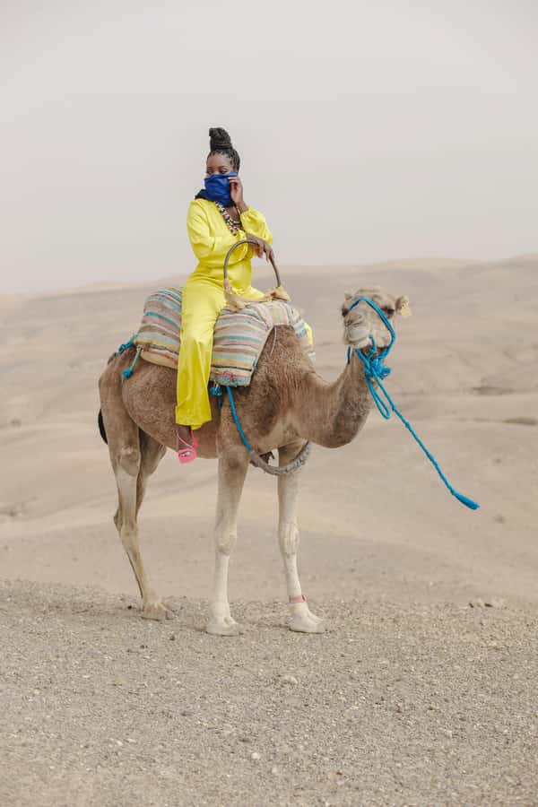 Marrakech: Agafay Desert Quad Bike with Camels & Dinner Show - What the $22 Price Really Delivers