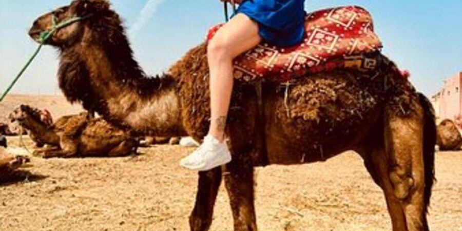 Marrakech: Agafay Desert Quad Biking with Dinner & Show - Dinner under the stars