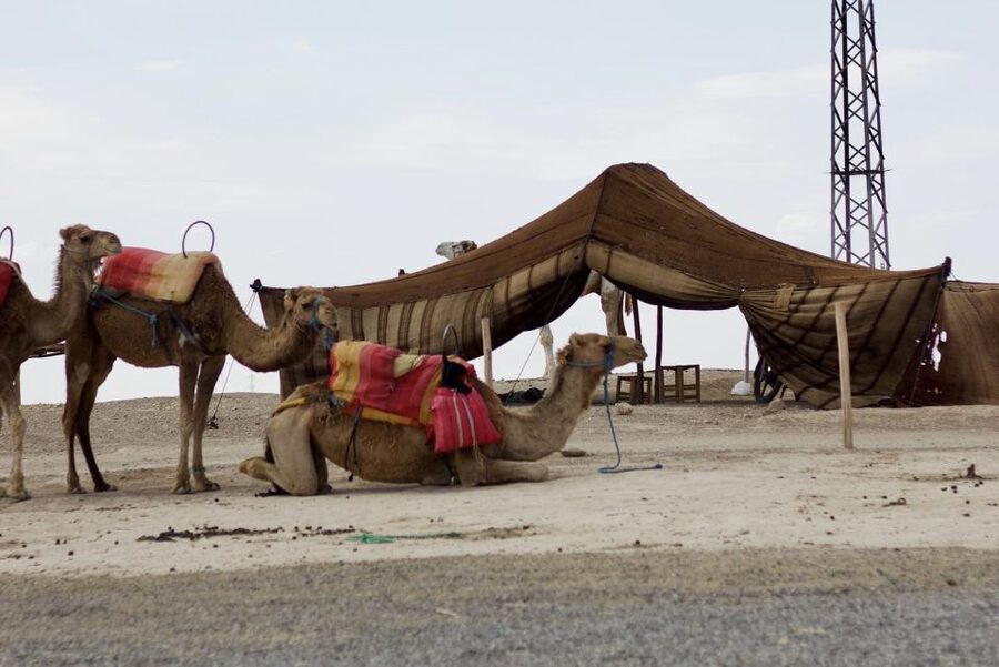 Marrakech: Agafay Desert Quad, Camel or Pool Day with Lunch - Music, dancing, and a lively desert finale