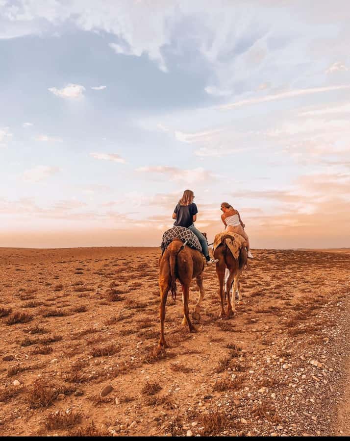 Marrakech: Agafay Desert Quad, Camel Ride & Dinner Show - The guide can shape the whole experience