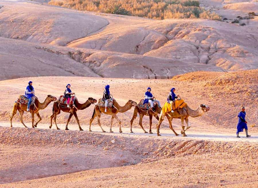 Marrakech: Agafay Desert Quad & Camel Rides with Dinner Show - Key things to know before booking