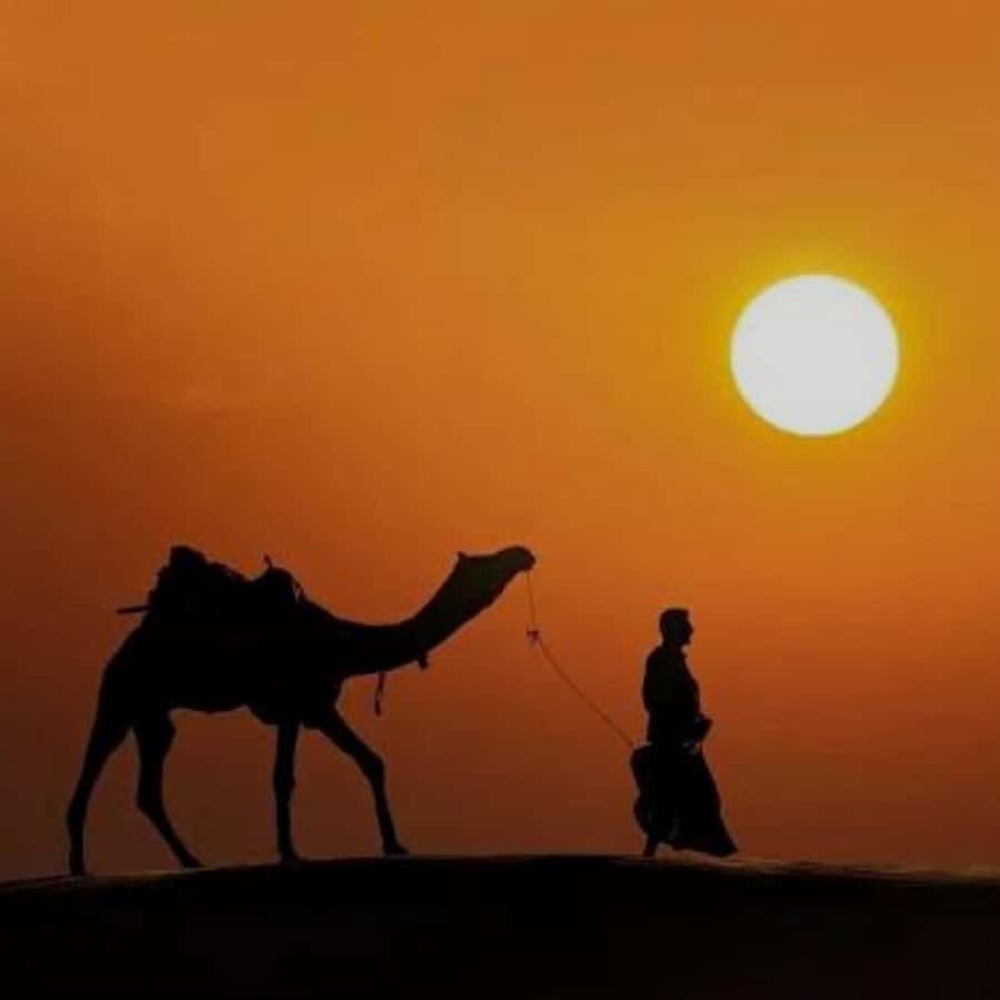 Marrakech: Agafay Desert Quad & Camel Rides with Dinner Show - The argan oil cooperative: useful stop or shopping pause?