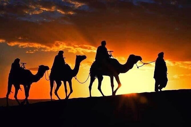 Marrakech: Agafay Desert Sunset, Camel Ride, and Dinner Show - A short camel ride along an old Berber path