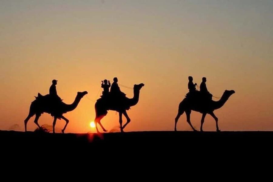 Marrakech: Agafay Desert Sunset, Camel Ride, Dinner and Show - The guides can shape the whole evening