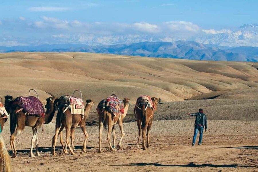 Marrakech: Agafay Desert Sunset, Camel Ride, Dinner and Show - Pickup from Marrakech and the ride outward