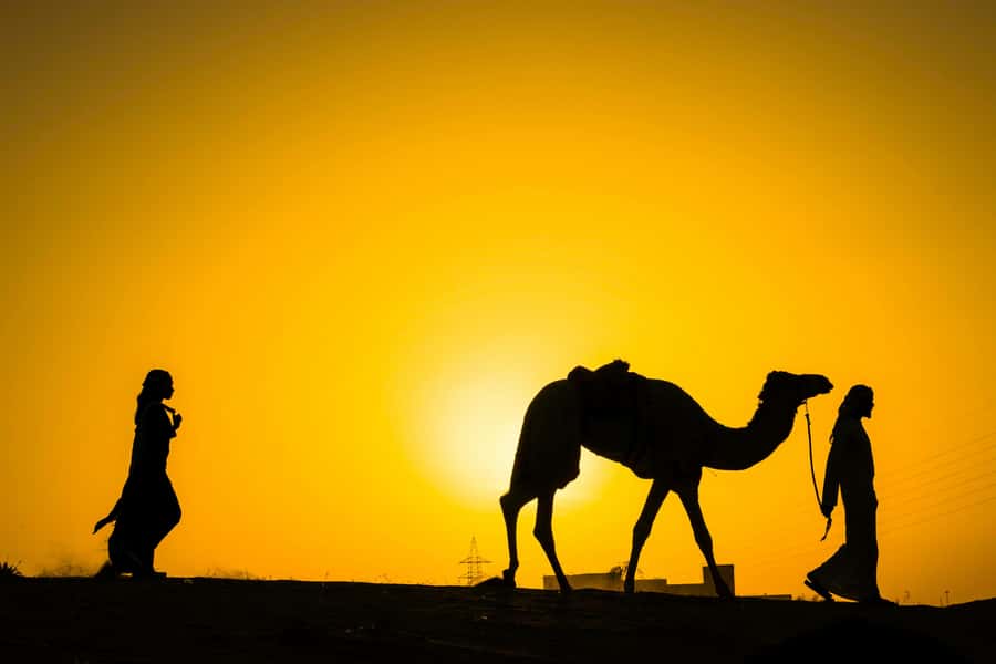 Marrakech : Agafay Desert Sunset Camel Ride & Luxury Dinner - Key things to know before you book