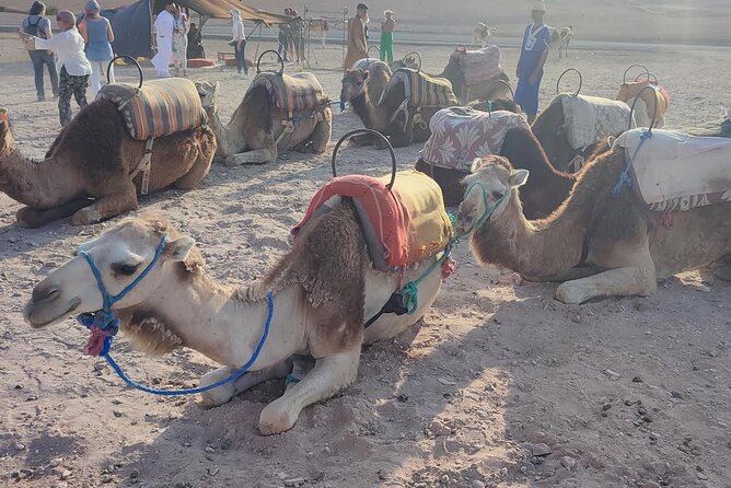 Marrakech: Agafay Desert Tour with Quad, Camel Ride & Dinner - What the $32.96 price really covers