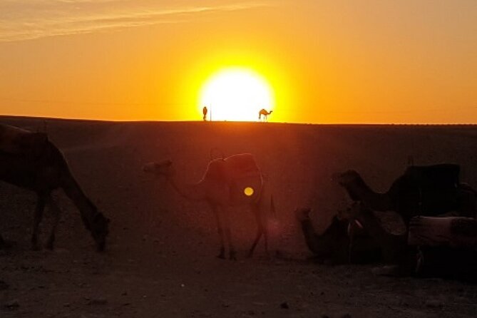 Marrakech: Agafay Desert Tour with Quad, Camel Ride & Dinner - Practical points that can save you trouble