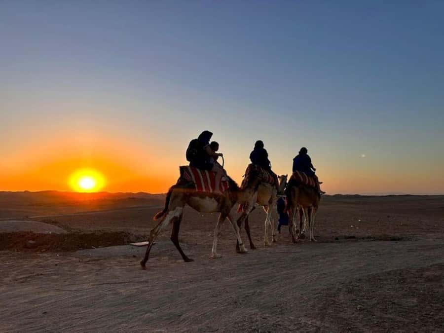 Marrakech: Agafay Desert Trip with Activities and Dinner - Moroccan dinner under canvas and stars