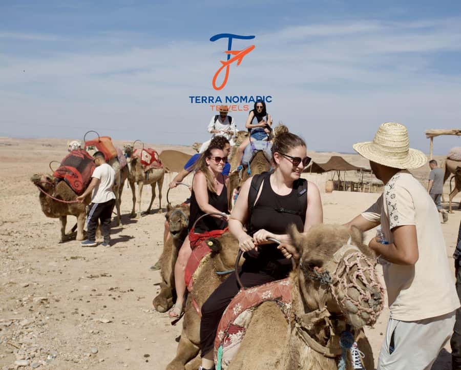 Marrakech: Agafay Dinner Show with Quad/Camel Ride and Pool - Guides who make the schedule work