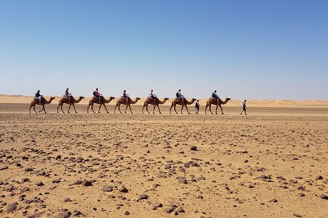 Marrakech Agfay Desert Camel Ride and Dinner Show - A 20-minute camel ride and Moroccan tea