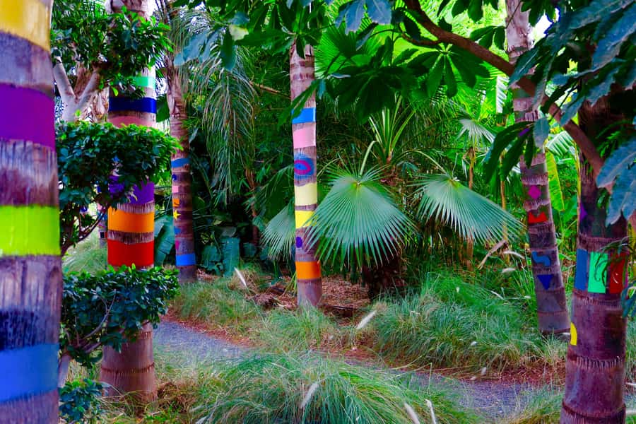 Marrakech: André Heller's ANIMA Garden Ticket - Reaching ANIMA from Marrakech