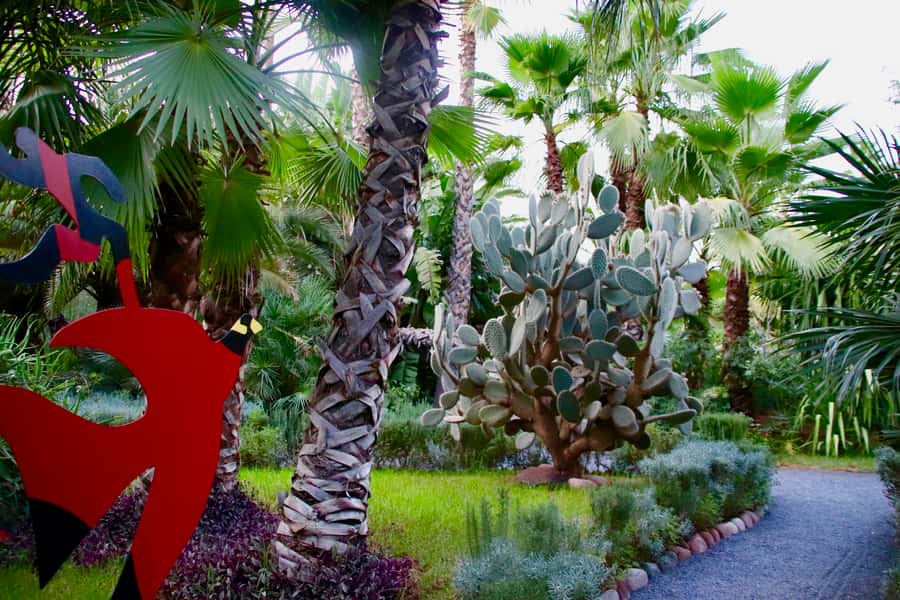 Marrakech: André Heller's ANIMA Garden Ticket - Is $16 good value?