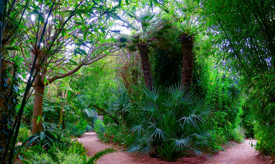 Marrakech: André Heller's ANIMA Garden Ticket - Small details that improve the visit