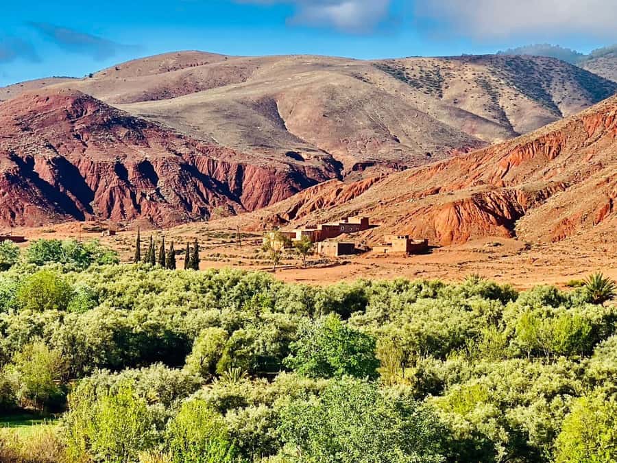 Marrakech: Atlas Mountain, Berber Villages, & Valleys Tour - Why this day trip is worth your time