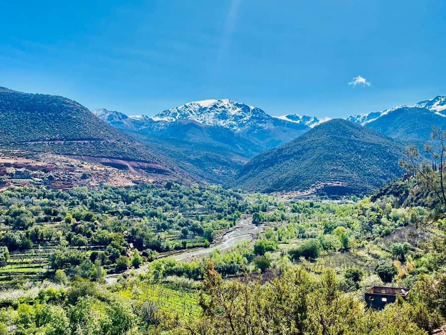 Marrakech: Atlas Mountain, Berber Villages, & Valleys Tour - Mint tea with a family and lunch in a Berber home