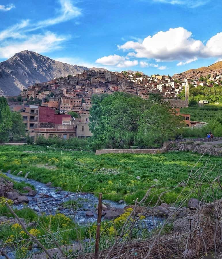 Marrakech: Atlas Mountain, Berber Villages, & Valleys Tour - Meeting at Jamaa El-Fna and heading south