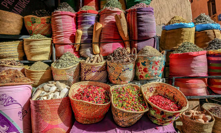 Marrakech: Atlas Mountains & Agafay Desert Tour w Camel Ride - Why this $14 day trip offers so much