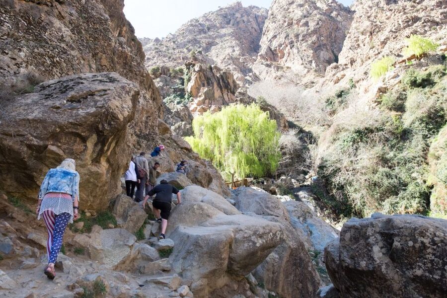 Marrakech: Atlas Mountains and 5 Valleys Day Tour with Lunch - Who should book this five-valley outing?