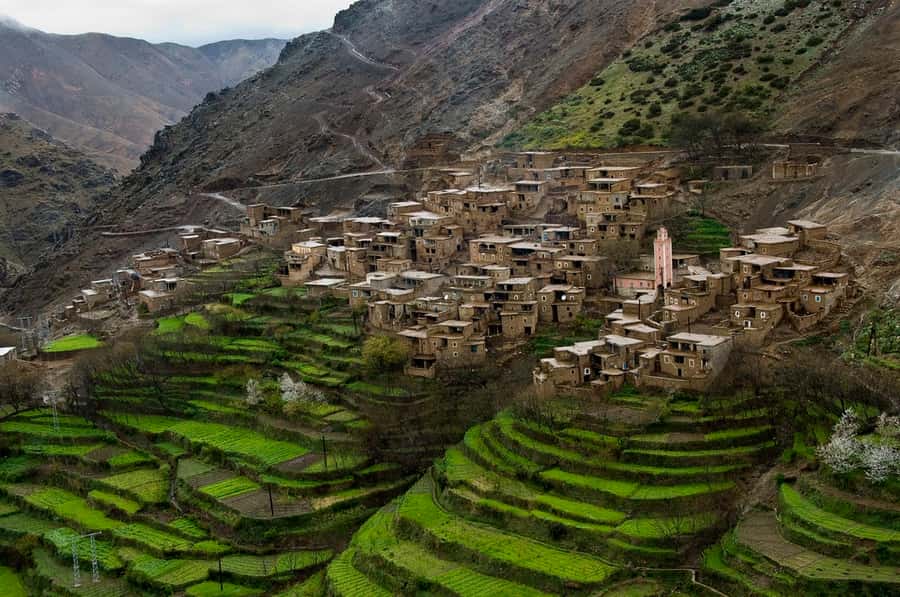 Marrakech: Atlas Mountains and Desert Safari with Lunch - Why this day trip works so well from Marrakech