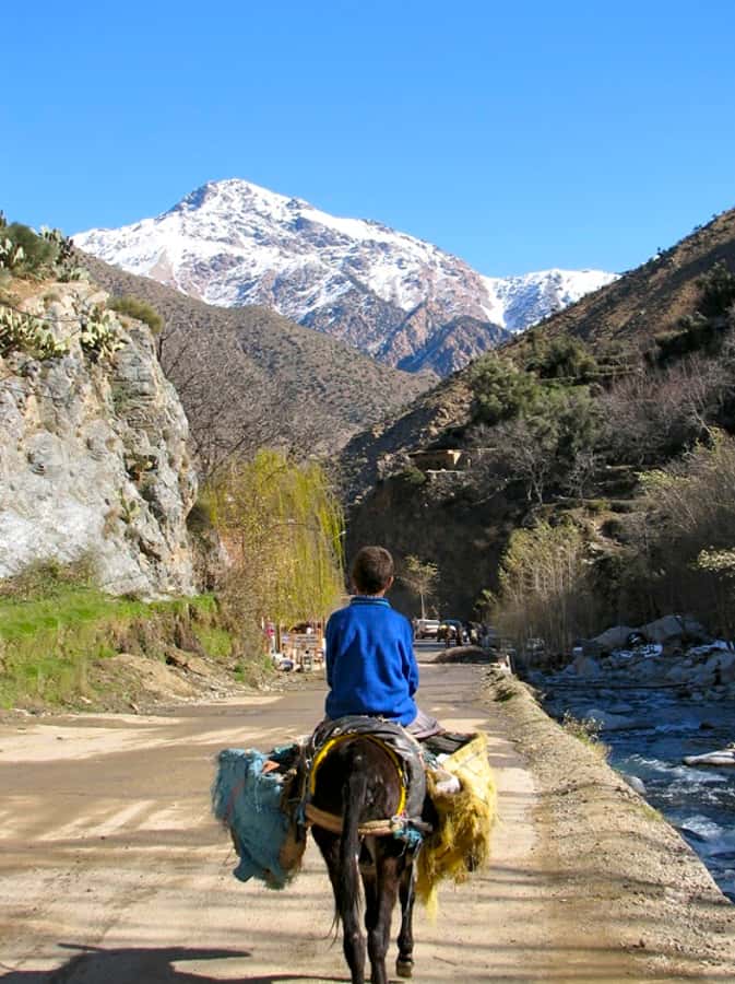 Marrakech: Atlas Mountains and Desert Safari with Lunch - Meeting a Berber family over mint tea