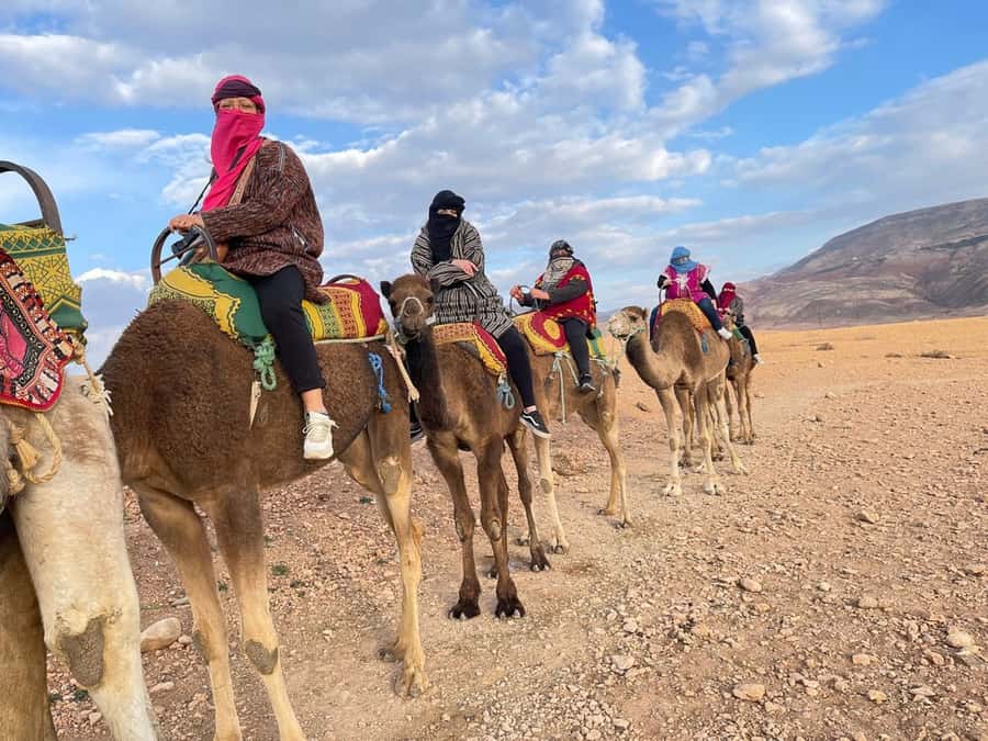 Marrakech: Atlas Mountains, Camel Ride, Waterfalls, & Lunch - Bread, mint tea, and the argan oil cooperative
